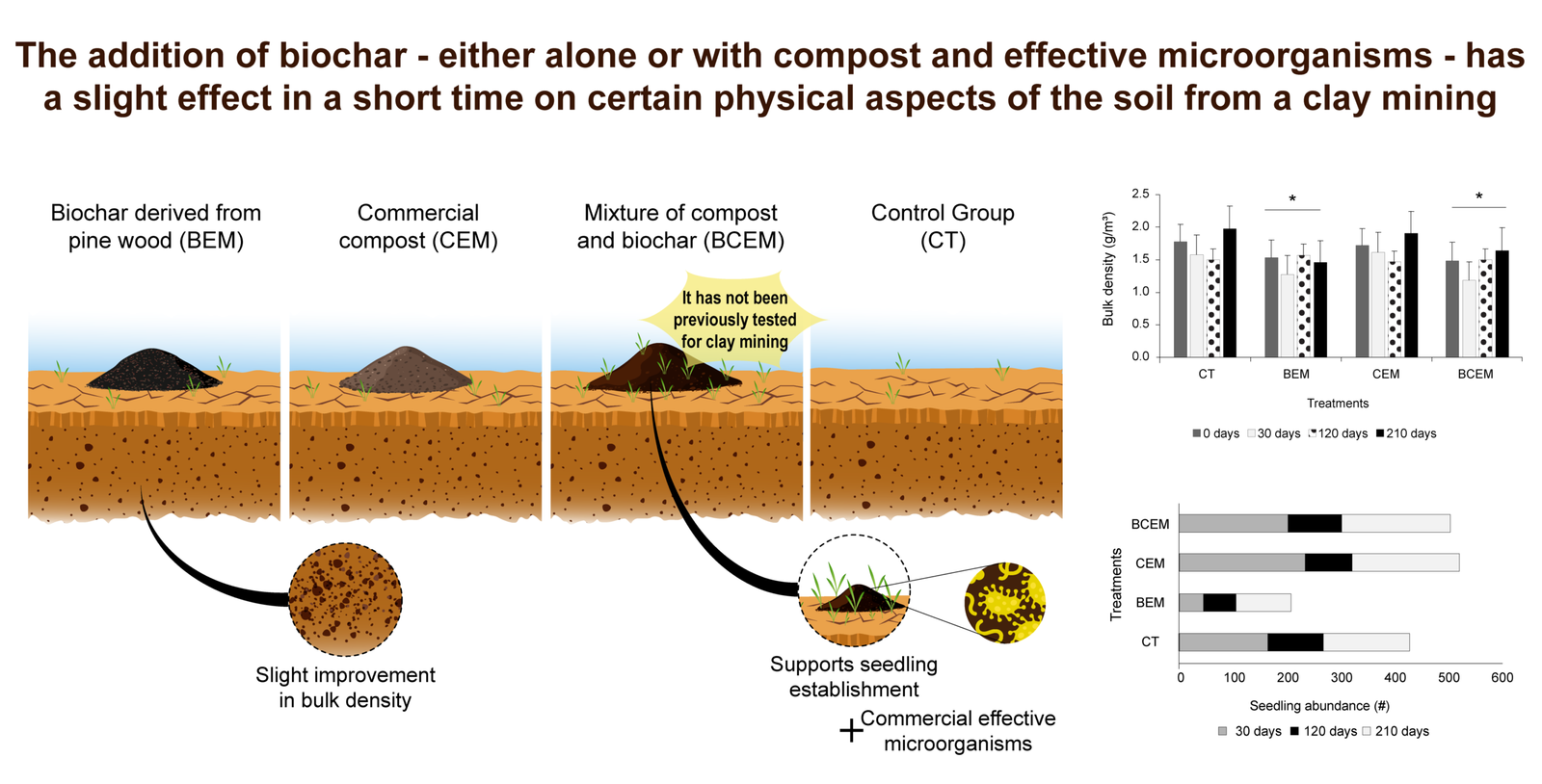 graphical abstract biochar 03