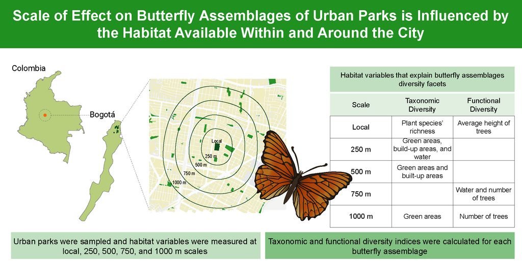 ga coral et al 2024 graphical abstract 2 2